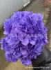 [Niebla Natural Hortensia] Flor Eterna Flor Seca Hortensia Anna Hortensia Lobular Material para Boda DIY Venta al por Mayor
