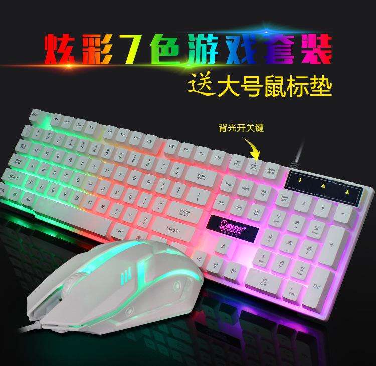 K9详情页_02.jpg