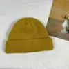 Gorro de piel de melón tejido de moda de otoño e invierno de producción propia, gorro femenino coreano de color sólido, gorro Baotou cálido para exteriores, gorro frío