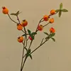 Galhos de Frutas para Véspera de Ano Novo Maçã Simulada Galhos de Romã Simulados Galhos de Frutas Caqui Caqui Ruyi Fa Cai Frutas Galhos de Pêssego