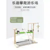 Juguete para loro Soporte de Madera Maciza Percha Columpio Parque de Juegos Soporte para Cacatúa Soporte para Periquito Pájaro Pequeño Soporte para Patas de Percha De Pie en el Suelo