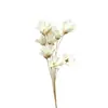Sementes, Flores, Flores Eternas, Flores Secas Artesanais, Kit de Material DIY, Arranjo de Flores em Vaso, Flores Naturais Reais, Adereços para Fotografia, Plantas Estilo Ins