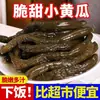 500g Pepinillos encurtidos, Verduras encurtidas para el desayuno, Pepinillos pequeños encurtidos, Guarnición lista para comer