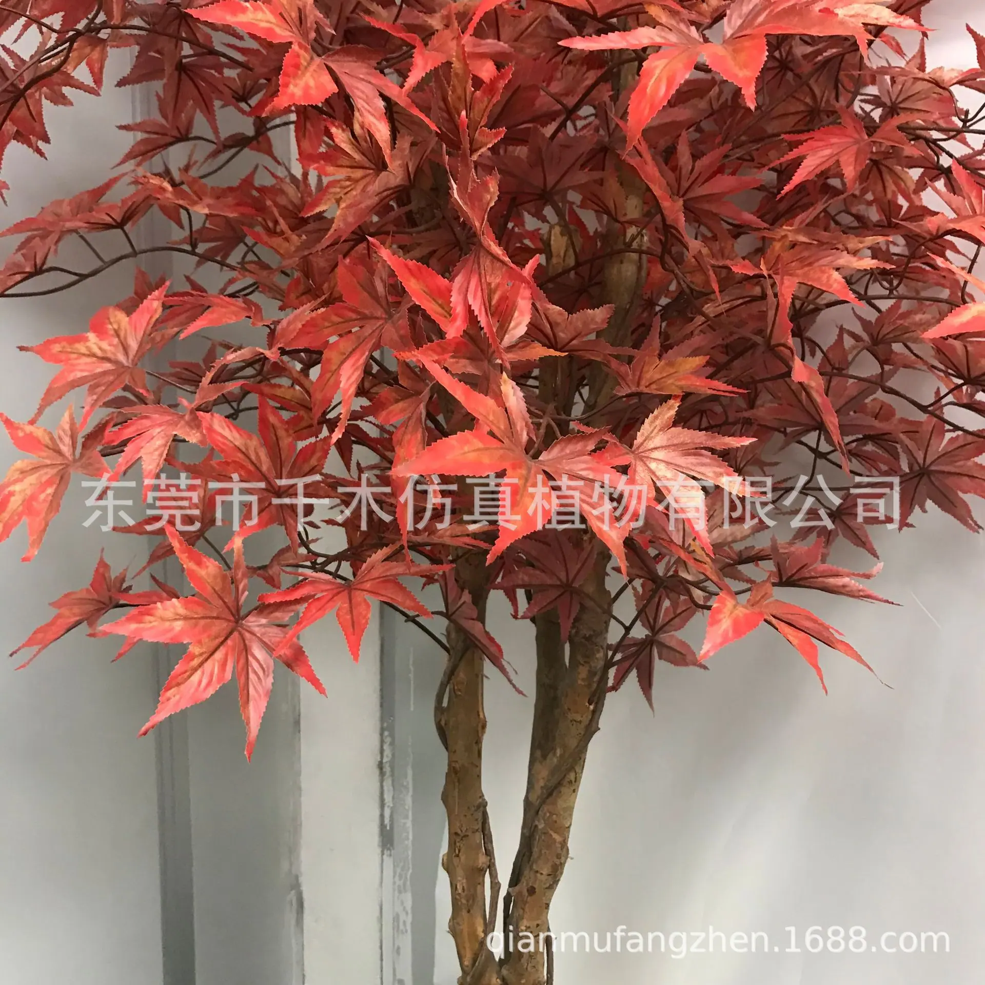 微信图片_2021052809445338