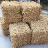 Fardos de paja, paja seca, accesorios de fotografía decorativos, manojos de tallos, almiares, accesorios de fotografía de bodas, fardos de paja redondos y cuadrados, sofás