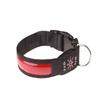 Cuero Reflectante LED Impermeable IPX7 Carga Tipo C Mascota Collar Luminoso Cuadros Collar para Perro Collar Eléctrico para Perro Noche