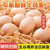 Huevos auténticos de gallinas camperas criadas en granjas, huevos frescos alimentados con una mezcla de granos y cordyceps, huevos nutritivos para el posparto, huevos tradicionales
