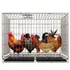 Jaula para Pollos Doméstica Grande Extra Grande Jaula para Ponedoras Jaula para Pollos Jaula de Cría Doméstica Gallinero con Limpieza Automática de Estiércol Jaula Plegable Jaula para Perros