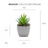Simulado carnudo verde cinco camadas aloe planta em vaso enfeites de mesa presente mini bonsai verde TEMU simulação planta