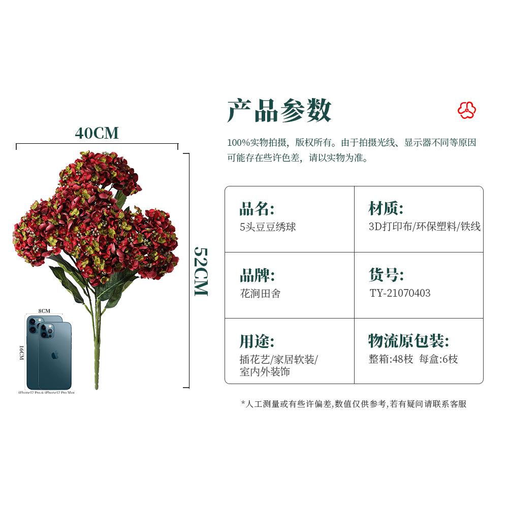 5头豆豆绣球-7.15_02.jpg