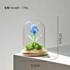 Regalo del Día de la Madre: Adorno de Cúpula de Vidrio Hecho a Mano Tulipán Glaseado Zibo, Planta Eterna Regalo Creativo Al Por Mayor