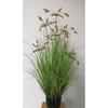 Simulação Reed Artificial Reed Grass Atacado Planta Falsa Shopping Decoração para Casa Cebola Dog Tail Grass Simulação Planta Verde