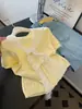 Top de Malha Manga Curta Feminino com Xale, Camada Base de Seda Fresca e Refrescante, Verão 2026, Amarelo Vibrante, Camiseta com Ombro Normal