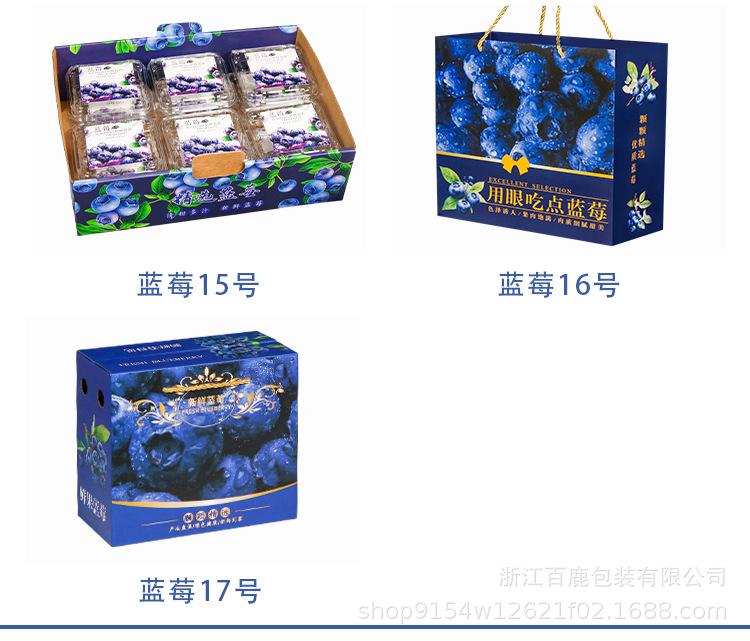 蓝莓总_05.jpg