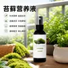 Solución Nutritiva para Musgo Bola de Musgo Musgo Verde Micro Paisajismo Plantas de Paisajismo Amarillamiento Secado Encharcamiento Promoviendo Crecimiento Verde Especial