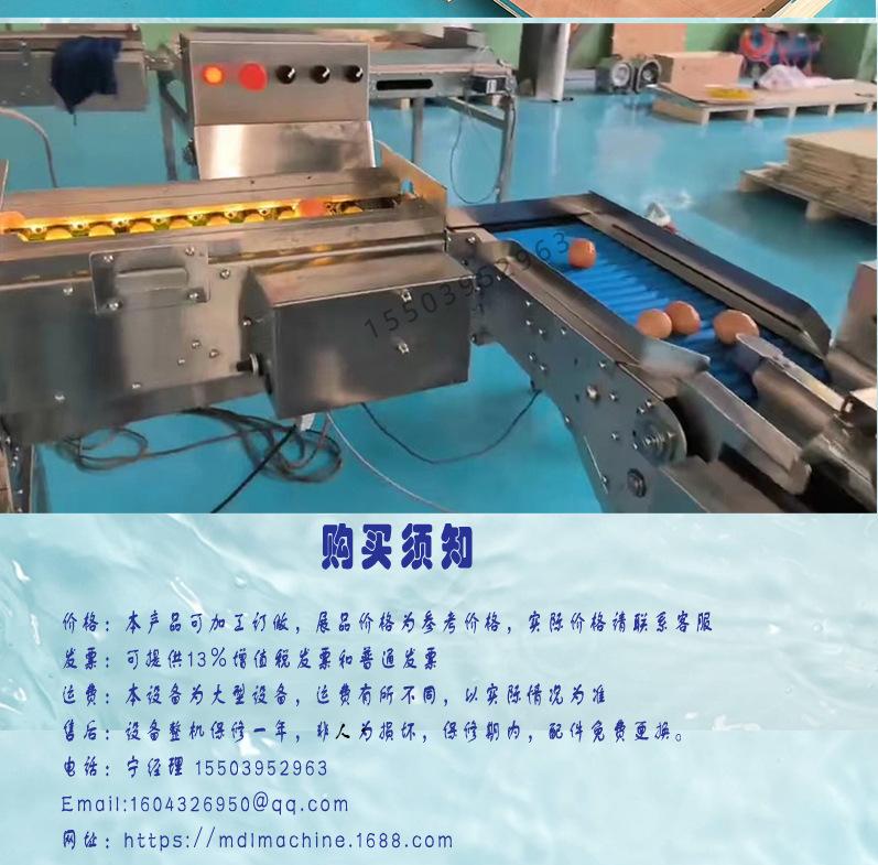 小型洗蛋机详情_06