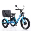 Triciclo Elétrico Fat Tire com Assistência de Pedal 24 polegadas em Estoque Transfronteiriço, Popular na Rússia, com Pneus de Neve e Assento