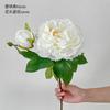 1 Flor 1 Botão Ramo Longo Peônia de Cabeça Dupla Flor Artificial Peônia Flor Artificial Arranjo de Casamento Decoração DIY de Casamento Buquê para Casa