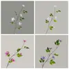 Fabricante de Flores de Clemátide Artificiales Flores Falsas y Plantas Verdes Transfronterizas Venta al por Mayor Decoración de Bodas Manualidades Estilo Ins