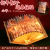 Lanterna Artesanal DIY Luz de Livro Novo Estilo Portátil Infantil Estilo Antigo Lanterna de Flores Atividades Dia do Jardim de Infância Outros