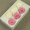 Materiais DIY de flores preservadas de alta qualidade, cabeças de flores de rosa bicolores de flor real grau B, materiais de flores para atacado, flores secas