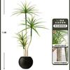 Planta Verde de Simulación Madera Milenaria Planta Falsa Lujo Ligero de Gama Alta Decoración de Interiores Árbol Sala de Estar Grande en Maceta Adornos de Piso