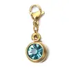 Colgante de Piedra de Nacimiento de Diciembre de Acero Inoxidable de Alta Gama para Collar DIY, Nicho Transfronterizo Europeo y Americano, 6mm