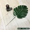 Decoração de Balões Folhas Dourado Prata Verde Escuro Folha de Tartaruga Árvore de Girassol Folha de Palmeira de Coco Ave do Paraíso Brasileira Bela Mulher Folhas Artificiais