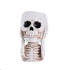 Transfronteiriço Novo Crânio de Halloween Verde Carnudo Vaso de Flores para Plantio Decoração de Jardim Decoração Criativa de Resina Decoração