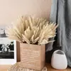 Pared Artificial de Flores de Rosa, Ramas Nebulosas con Borlas Pequeñas, Ramilletes para Decoración del Hogar, Ramo de Boda, Flores Artificiales, Ins Transfronterizo