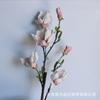 Sensación nórdica PE Magnolia Rama grande de alta simulación Próspera Magnolia Hogar boda flor falsa suave fábrica venta al por mayor transfronteriza