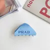 Pinza para el Cabello de Ácido Acético para Peinado de Moño, Accesorio Versátil de Lujo Ligero para el Cabello, Accesorio para el Cabello Estilo Coreano para Niños
