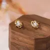 Joyería de Plata Yongyi Plata de Ley S925 Corazón Circonita Rodeando Meteorito Aretes Femeninos Bosque Lindo Estilo Ins Aretes de Nicho