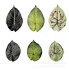 Hojas de Calathea Simuladas, Hojas de Planta Verdes Simuladas, Accesorios de Hojas Simuladas, Plantas Verdes Simuladas, Hojas Falsas, Flores Falsas
