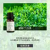 Fabricante de Fuente de Aromaterapia Aceite Esencial de Aromaterapia Soluble en Agua 10 ml Fragancia Vegetal L Difusor Ambientador Máquina de Aromaterapia Aceite Esencial