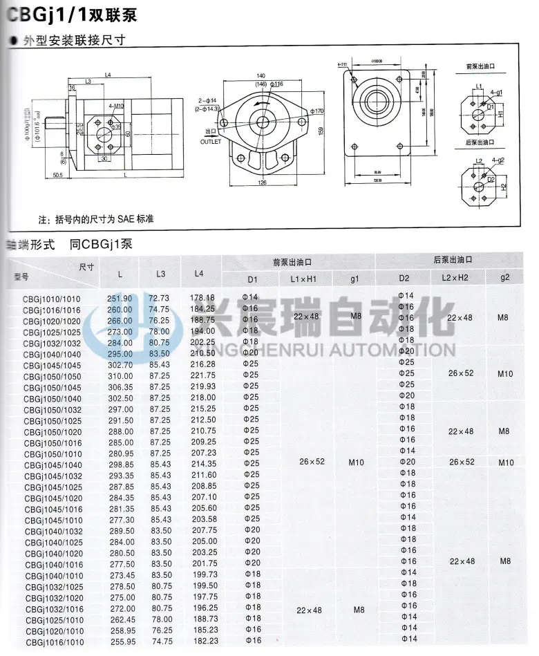 CBGJ1_09双泵.jpg