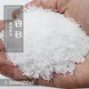 "Base de Decoração de Concha para Micro Paisagismo com Musgo Areia de Riacho Areia Dourada Preta Areia de Rio Areia Branca Areia de Paisagismo na Cidade Vazia"