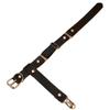 Harajuku Sexy Liga de Cuero Clip para Liga Joyería de Tobillo Sexy para Pareja Europea y Americana Accesorios de Ropa para Actuación en Discoteca