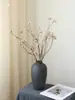 Fruta de Banyan Fruta Blanca Pequeña Flor Seca Ramo Ramas Tronco de Árbol B&B Ramas Secas Decoración de Fruta Seca Arreglo Floral Wabi-Sabi Flores Reales Secadas al Aire