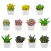 Oferta Especial do Fabricante: Plantas Suculentas Artificiais em Vasos de Cerâmica para Mesas de Escritório Internas, Pequenas Plantas Verdes em Vasos, Flores Artificiais, Plantas Suculentas em Vasos