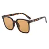 Gafas de Sol de Marco Grande de Moda para Viajes y Conducir, Protección Solar, Gafas de Sol de Alta Gama con Protección UV