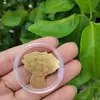 Adesivo de Celular Dourado com Folha de Ouro Puro 999, Adesivo para Ficar Rico, Riqueza Chegando Diariamente, Adesivo de Traseira de Celular do Deus da Riqueza, Presente de Aniversário