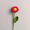 Ramo de Manzanillas y Margaritas de Lana Tejidas a Mano, Terminado, como Regalo para Amigos y Mejores Amigas, Flores Artificiales de Lana Tejidas