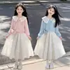 Conjunto de Duas Peças Moda Outono/Inverno 2026: Blusa Doce e Fofa de Manga Longa para Dama com Saia de Laço