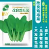 Dropshipping de sementes de vegetais de outono e inverno: espinafre, coentro, sementes de acelga chinesa, cebolinha de quatro estações, aipo, cebolinha e sementes de alho-poró