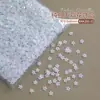 Paquete Completo de Accesorios Mixtos para Uñas al por Mayor Mini Camelia de Colores Grande y Pequeño Brillo Fino Corazón Accesorios de Resina para Uñas