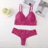 Comércio Exterior Transfronteiriço Conjunto de Lingerie Sexy Sutiã com Costas Abertas de Renda Calcinha Sutiã de Triângulo Feminino Roupa Íntima Feminina