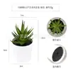 Planta artificial de plástico en maceta mini transfronteriza personalizada, adornos de escritorio, suculentas verdes, bonsái de simulación, combinación libre