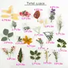 63 peças venda quente transfronteiriça alta qualidade terno artificial folha planta aquática bonsai bonsai DIY guirlanda acessórios material