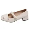 Sapatos Mary Jane Femininos Quadrados Retrô Salto Bloco Laço Primavera/Outono 2026 Novos Rasteirinhas de Tira Única Baixo